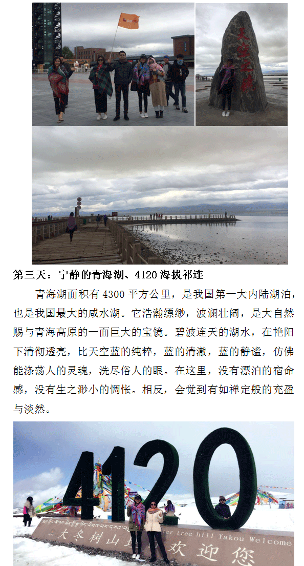 三亿体育app体育官网登录入口