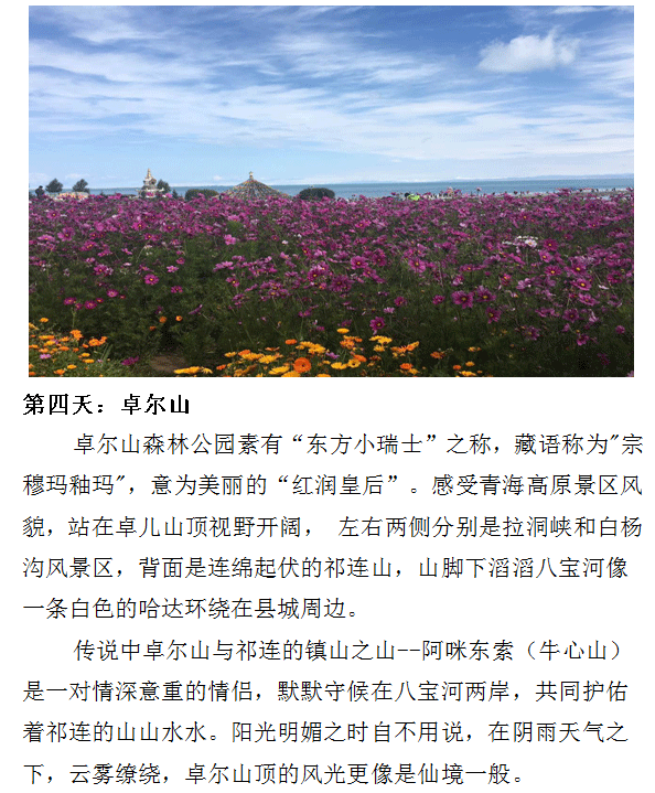 三亿体育app体育官网登录入口