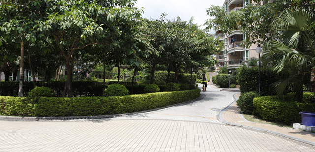 三亿体育app体育官网登录入口