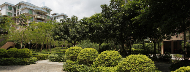 三亿体育app体育官网登录入口