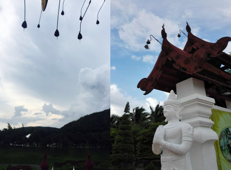 三亿体育app体育官网登录入口