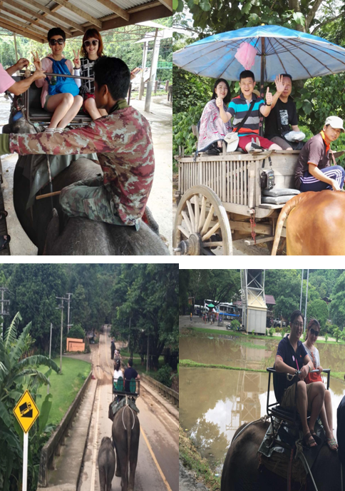 三亿体育app体育官网登录入口