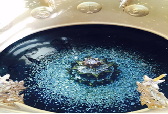 三亿体育app体育官网登录入口