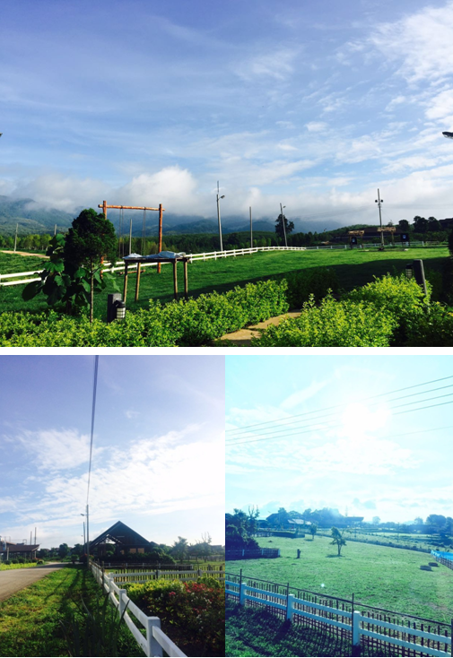 三亿体育app体育官网登录入口