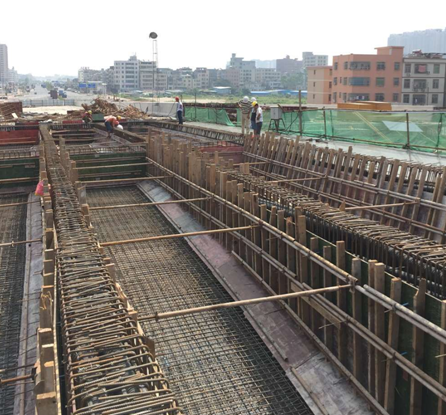 三亿体育app体育官网登录入口