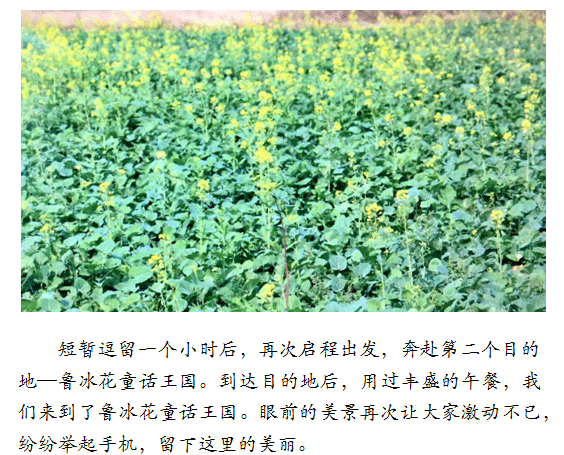 三亿体育app体育官网登录入口