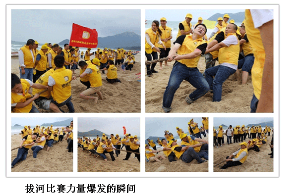 三亿体育app体育官网登录入口